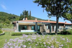 Affitto “Villa Pimpinnacolo”, esclusiva e panoramica, con piscina, max tranquillità e privacy. Porto Ercole, max 14/16 ospiti